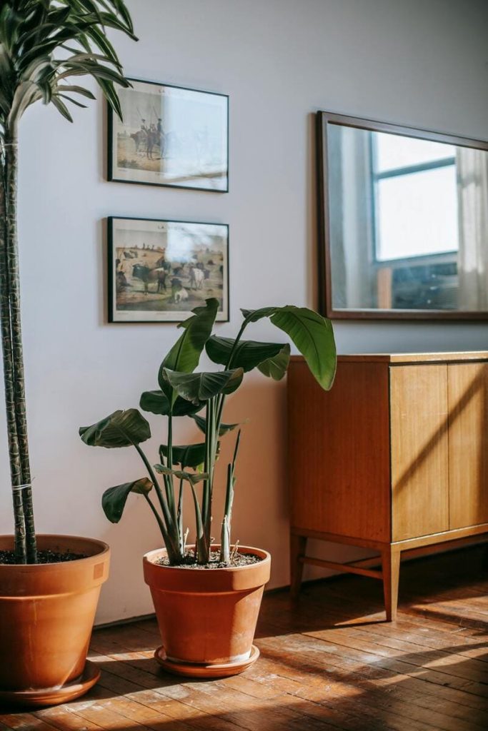 Decoración alquiler vacacional vigo